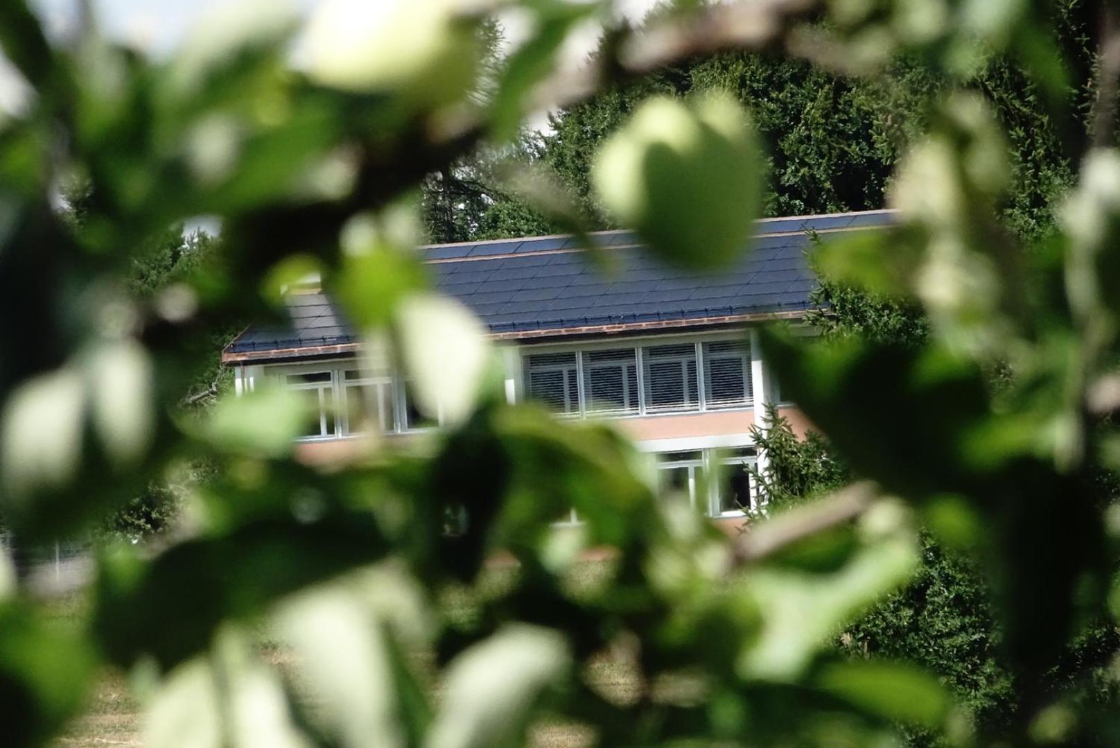 Naturnahe Familienwohnung Ruschegg Luaran gambar